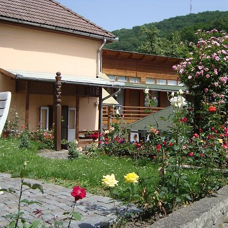Casa Katona Appartement Sovata Buitenkant foto