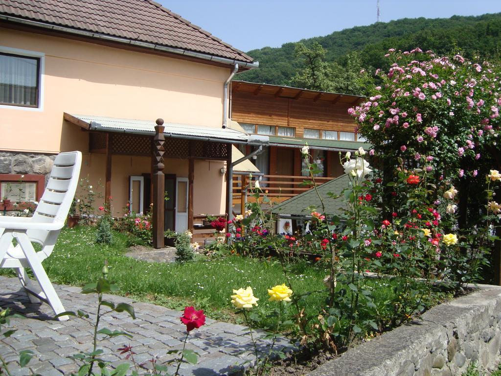Casa Katona Appartement Sovata Buitenkant foto