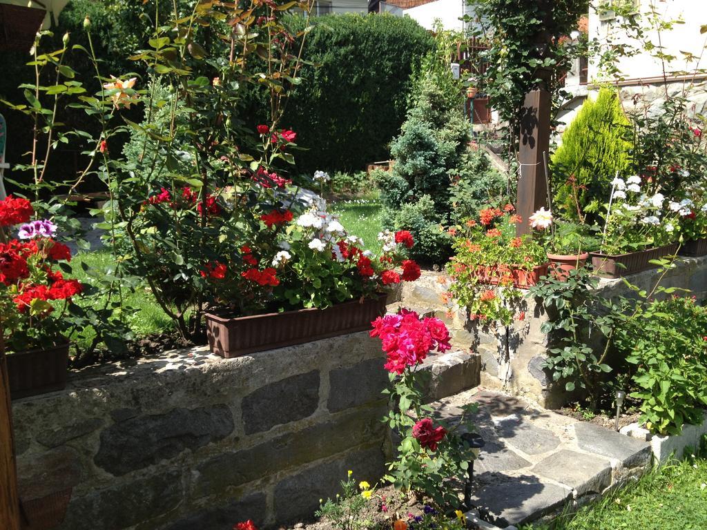 Casa Katona Appartement Sovata Buitenkant foto