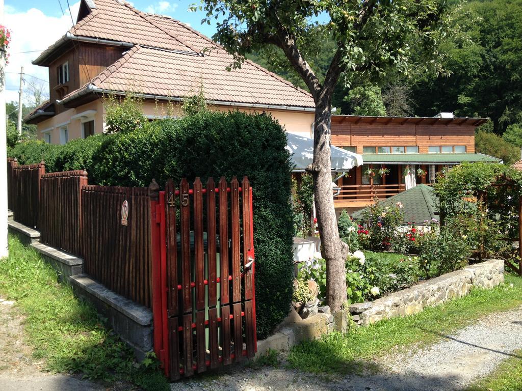 Casa Katona Appartement Sovata Buitenkant foto